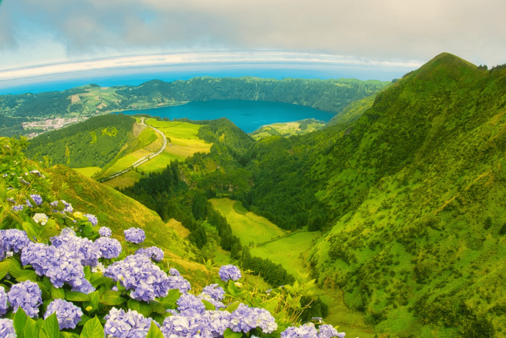 葡萄牙物價-亞速爾群島聖米格爾島，前景綻放藍紫色繡球花，遠方俯瞰綠色山谷與火山口湖景觀Ponta Delgada, Portugal